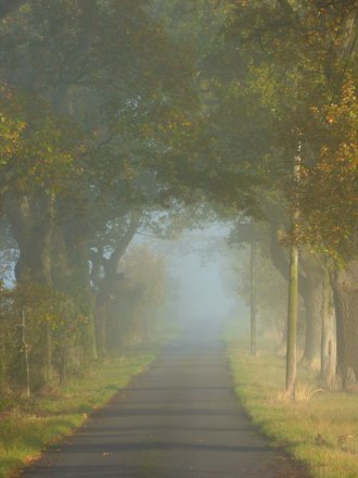 foggy-morning-019-1